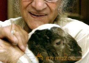 Pandit Ravi Shankar Photos photo 14