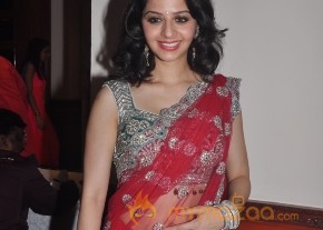 ParaDesi Movie Press Meet photo Gallery photo 13