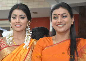 Pavitra Movie Launch Gallery  photo 27