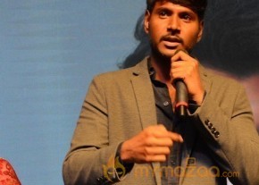 Pelli Choopulu Audio Launch Photos photo 9
