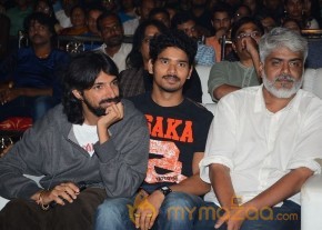 Pelli Choopulu Audio Launch Photos photo 53
