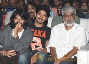 Pellichoopulu Movie Audio Launch photo 12