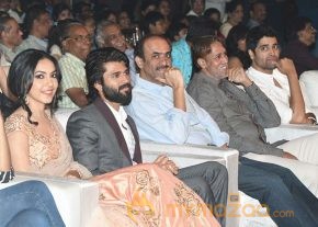 Pellichoopulu Movie Audio Launch photo 20
