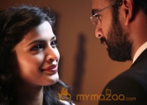 Pizza 2 Movie Villa Photos photo 29