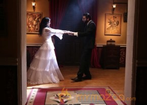 Pizza 2 Movie Villa Photos photo 20