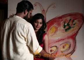 Pizza 2 Movie Villa Photos photo 8