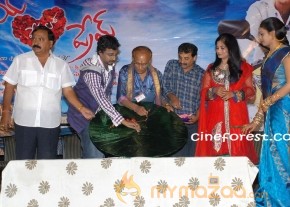 Priya Premalo Prem Audio Launch Photos photo 3