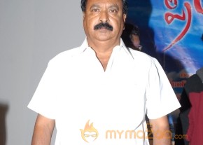 Priya Premalo Prem Audio Launch Photos photo 18