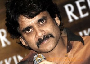 Production NO.12 Press Meet-Gallery  photo 2