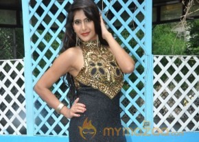 Q movie Launch Photos photo 15