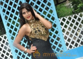Q movie Launch Photos photo 5