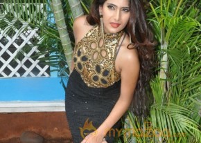 Q movie Launch Photos photo 7