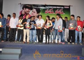 Rai Rai Movie Platinum Disc Function  photo 13