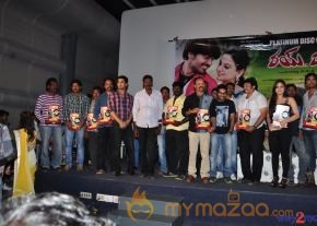 Rai Rai Movie Platinum Disc Function  photo 5