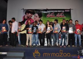 Rai Rai Movie Platinum Disc Function  photo 43