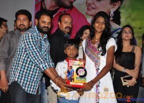 Rai Rai Movie Platinum Disc Function  photo 15