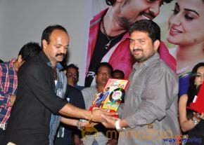 Rai Rai Movie Platinum Disc Function  photo 69