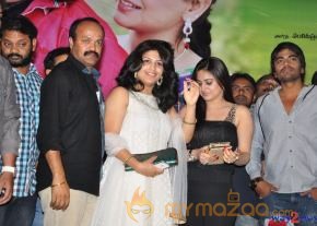 Rai Rai Movie Platinum Disc Function  photo 57