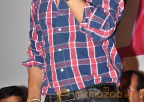 Rai Rai Movie Platinum Disc Function  photo 31