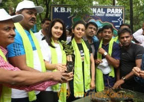 Rakul Preet Singh and Raashi Khanna at Haritha Haram Event photo 3