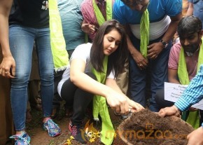 Rakul Preet Singh and Raashi Khanna at Haritha Haram Event photo 8