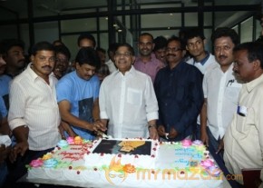 Ram Charan 2013 Birthday Celebrations Photos photo 2