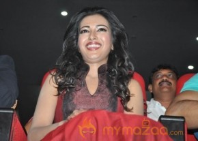 Ram Charan at Iddarammayilatho Audio Launch