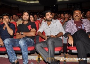 Ram Charan At Yamudiki Mogudu Audio Launch Pics photo 34