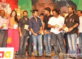 Ram Charan At Yamudiki Mogudu Audio Launch Pics photo 40