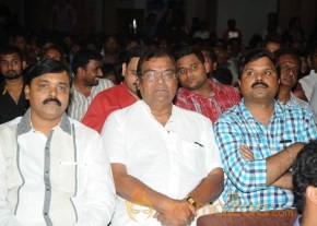 RAMAYYA VASTHAVAYYA MOVIE AUDIO LAUNCH PHOTOS photo 71