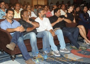 RAMAYYA VASTHAVAYYA MOVIE AUDIO LAUNCH PHOTOS photo 43