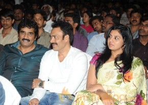 RAMAYYA VASTHAVAYYA MOVIE AUDIO LAUNCH PHOTOS photo 89