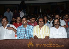 RAMAYYA VASTHAVAYYA MOVIE AUDIO LAUNCH PHOTOS photo 151