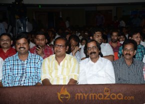 RAMAYYA VASTHAVAYYA MOVIE AUDIO LAUNCH PHOTOS photo 77