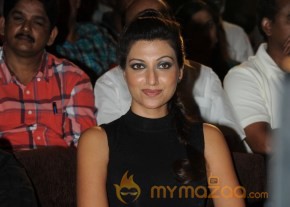 RAMAYYA VASTHAVAYYA MOVIE AUDIO LAUNCH PHOTOS photo 5