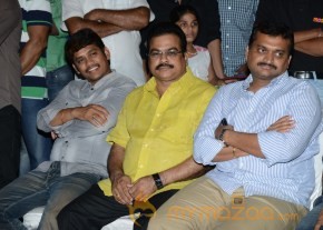 RAMAYYA VASTHAVAYYA MOVIE AUDIO LAUNCH PHOTOS photo 94