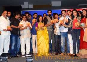 Red Alert Movie Audio Launch photo 8