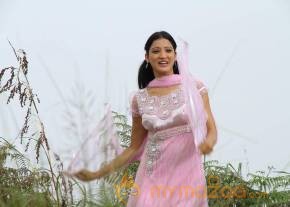 Richa Panai Photo Colletion photo 7