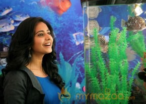 Rough Telugu Movie Working Stills photo 3