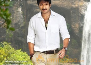 Sahasam Movie Wallpapers photo 6