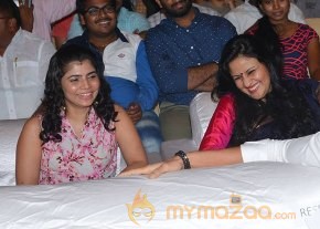Sahasam Swasaga Sagipo Audio Launch photo 7