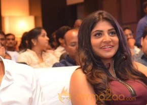 Sahasam Swasaga Sagipo Audio Launch photo 10