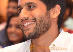 Sahasam Swasaga Sagipo Audio Launch photo 18