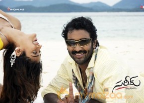 Saleem - Gallery  photo 14