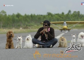Saleem - Gallery  photo 7