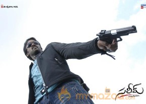 Saleem - Gallery 