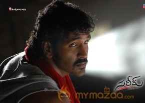 Saleem - Gallery  photo 6