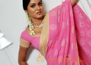 SANTHARPAM TELUGU MOVIE HOT PICTURES photo 3