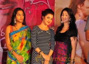 Saradaga Ammaitho Movie Audio Launch Photos photo 13