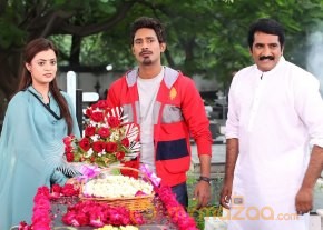 Saradaga Ammayilatho Movie Latest Stills photo 12